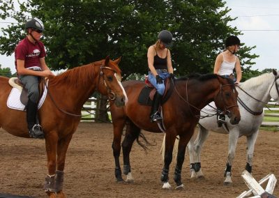 Horse Riding