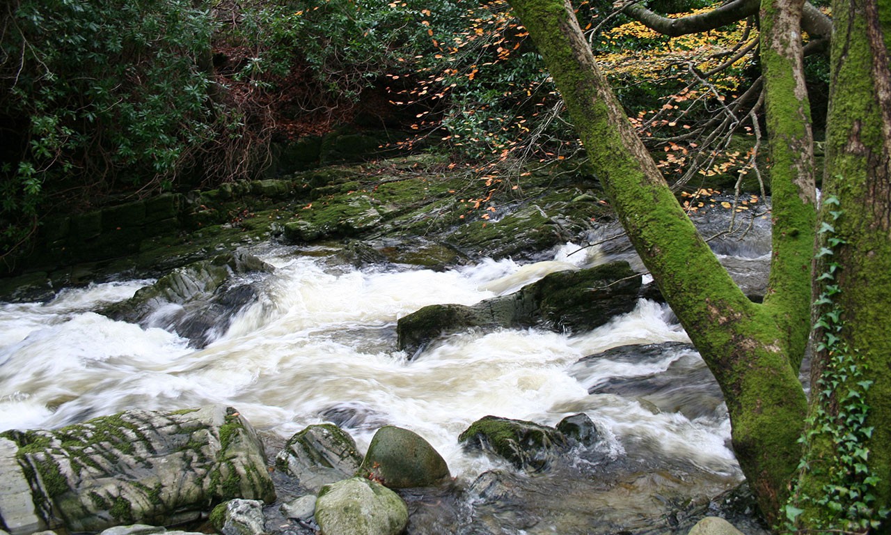 tollymore